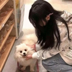 天龙英杰传手游官方